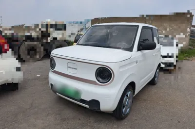 Geely Galaxy Panda