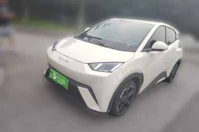 BYD Seagull