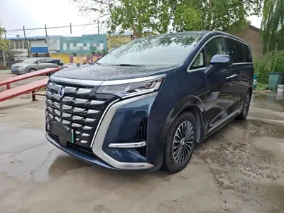 Denza Denza D9