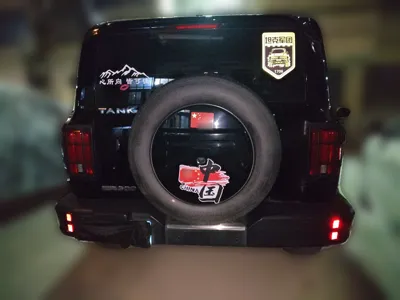 Tank 300