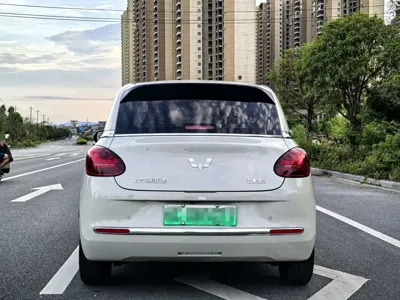 Wuling Bingo