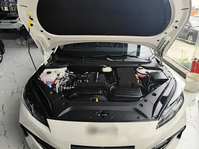 BYD 海豹06