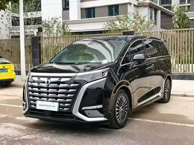 Denza Denza D9