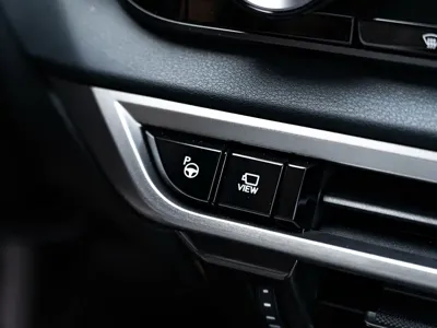 Lexus RX New Energy