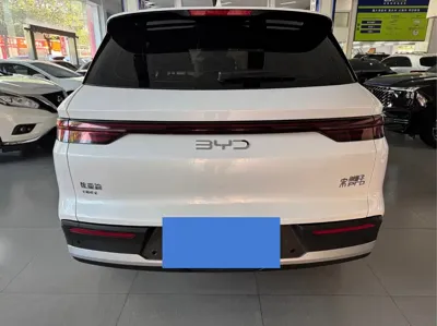 BYD Pro New Energy
