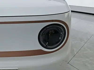 Galaxy Panda