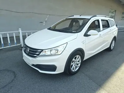 Baojun 310W