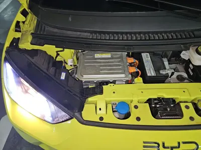BYD Seagull