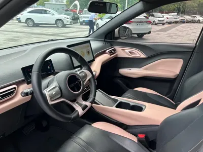 BYD Seagull
