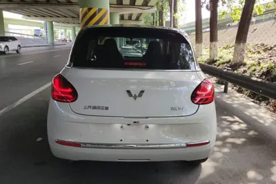 Wuling Bingo