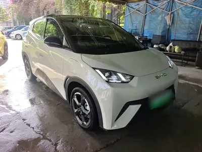 BYD Seagull