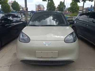 Wuling Bingo