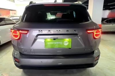 Haval H Dog
