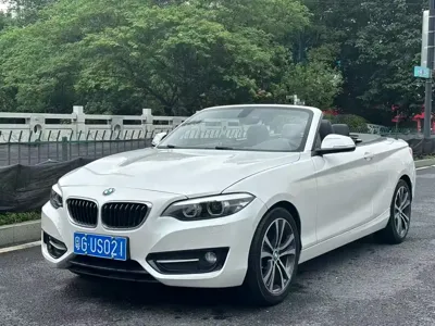 BMW 2 Series (Import)