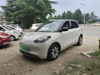 Wuling Bingo