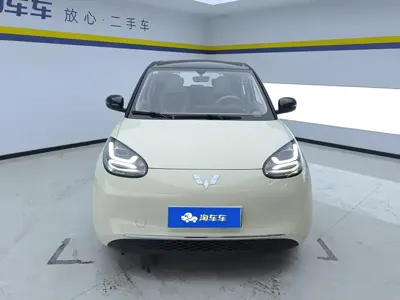 Wuling Bingo