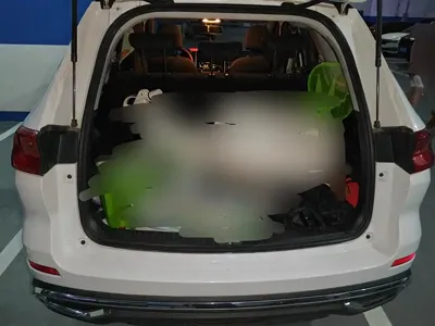 Haval M6