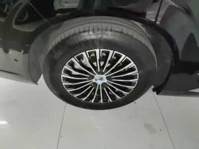Denza D9