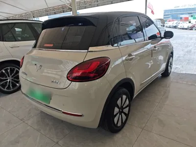 Wuling Bingo