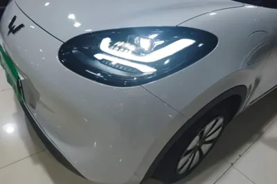 Wuling Bingo