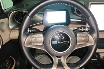BYD Dolphin