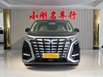 Denza Denza D9