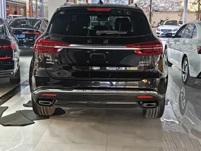 Hongqi Hongqi HS5
