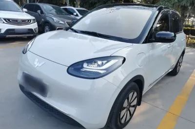 Wuling Bingo