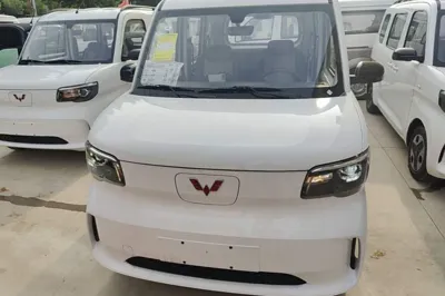 Wuling Zhiguang New Energy