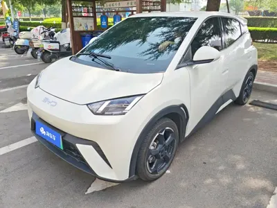 BYD Seagull
