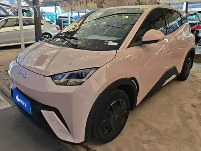BYD Seagull