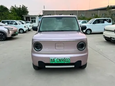 Galaxy Panda