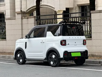 Galaxy Panda