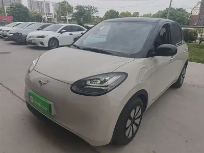 Wuling Bingo