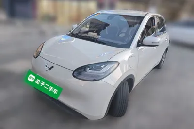Wuling Bingo