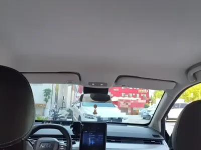 NETA Neta V