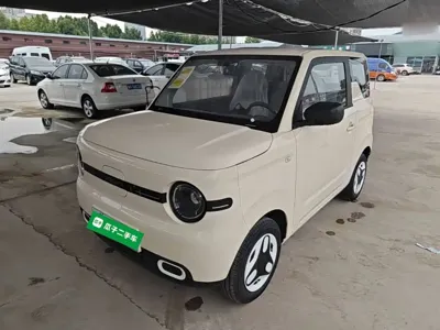 Galaxy Panda