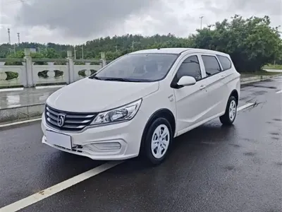Baojun 310W