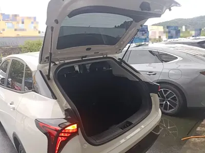 NETA Neta V