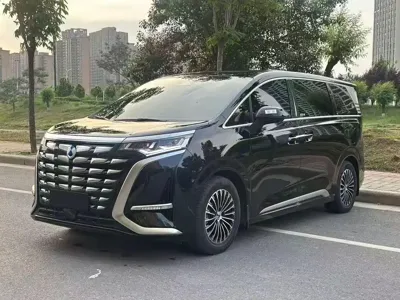Denza Denza D9