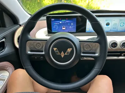 Wuling Bingo