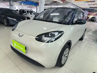 Wuling Bingo