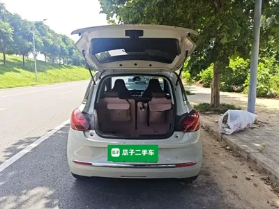 Wuling Bingo