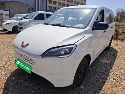 Wuling Hongguang New Energy