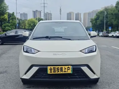 BYD Seagull