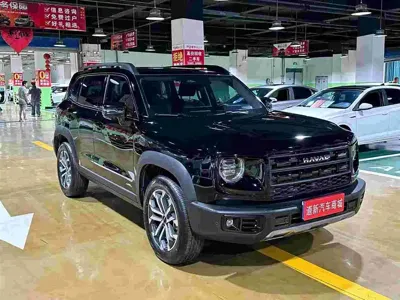 Haval Big Dog