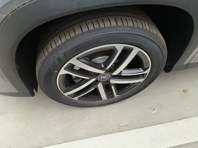 BYD L DM-i
