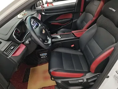 Geely Binrui