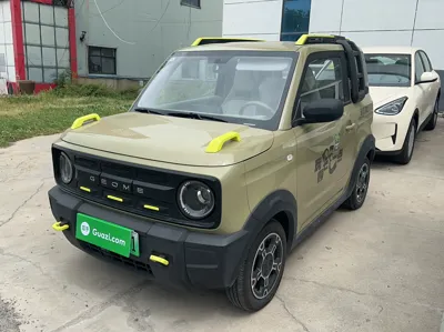Geely Galaxy Panda