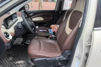 Wuling Bingo